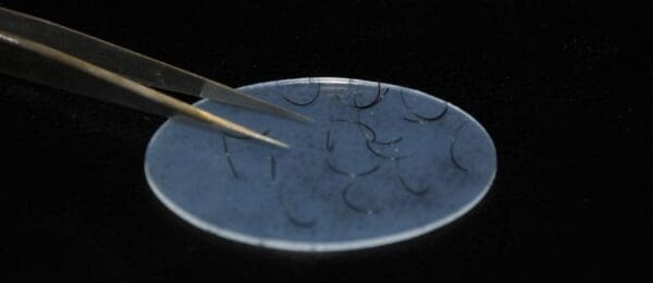 A plate with some black hair being cut