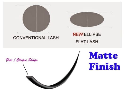 Discount Eyelashes