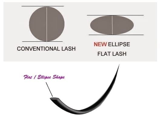A picture of an ellipse and the new flat lash.