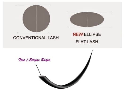Discount Eyelashes