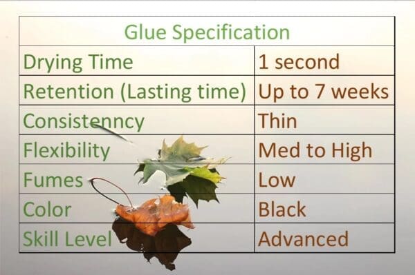 A table with the glue specification and leaves.