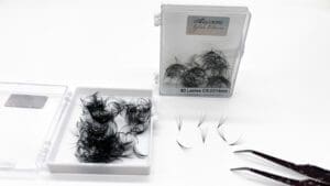 Alluring Loose Premade Lash Fans In A box