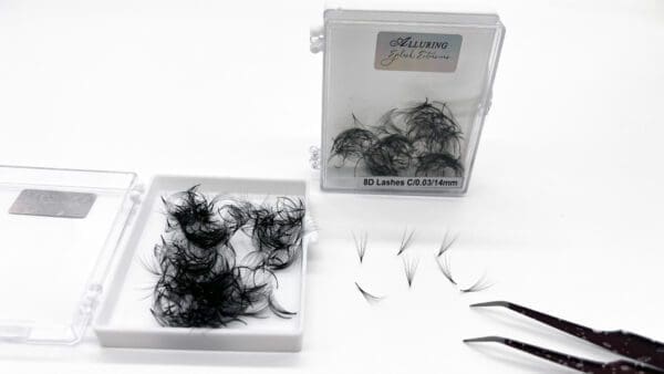 Alluring Loose Premade Lash Fans In A box