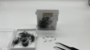 Alluring Loose 10D Premade Lash Fans