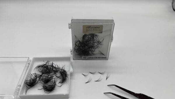 Alluring Loose 10D Premade Lash Fans
