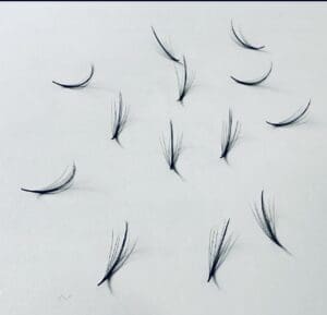 A group of black feathers on the wall.